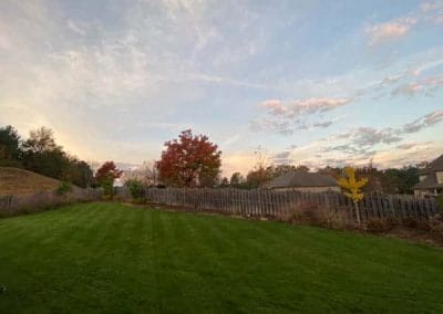 Lawn Maintenance 7 (1)